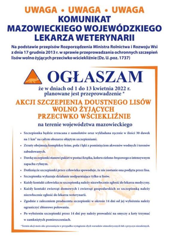 Szczepienie lisów wolno żyjących