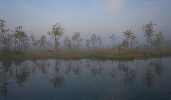 2 lutego obchodzimy World Wetland Day, czyli Światowy Dzień Mokradeł