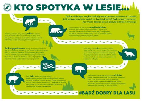 Spotkałeś dzikie zwierzę? Nie panikuj.