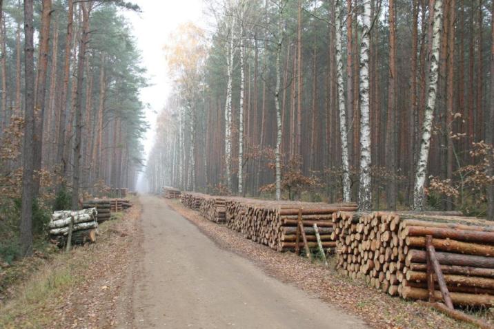 fot&#x2e;&#x20;Agnieszka&#x20;Łempicka