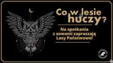 Usłysz, co w lesie huczy